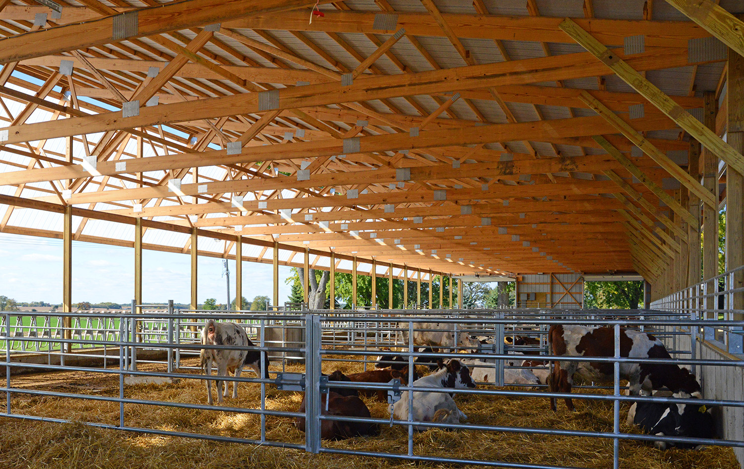 interior of agricultural animal confinement building